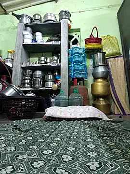 Tamilselviroja- webcam