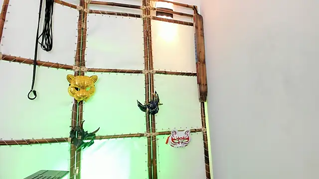 Greiz_SubKimura webcam