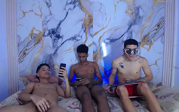 Damian_and_theo webcam