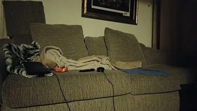 cdforu - CDforU's free webcam