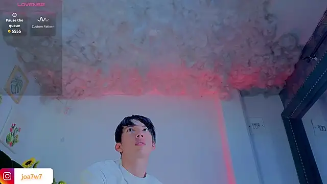 Levii_Ackermann webcam