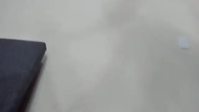 vanesadimaria webcam