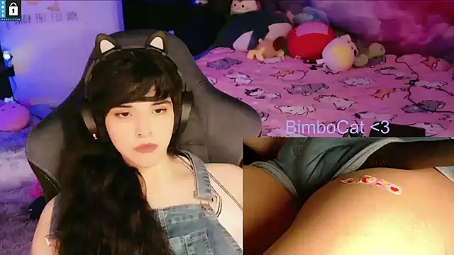 BimboCat webcam