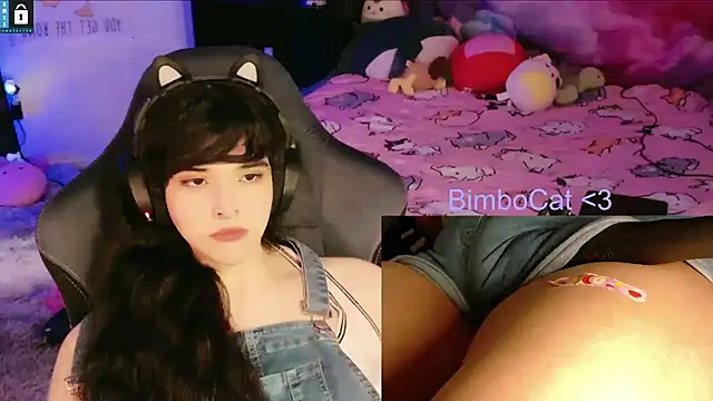 BimboCat webcam
