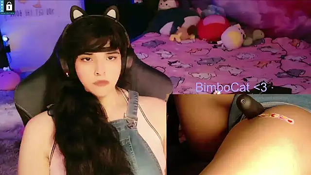 BimboCat webcam
