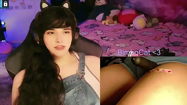 BimboCat webcam