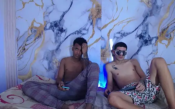 Damian_and_theo webcam