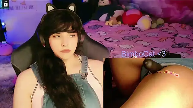 BimboCat webcam