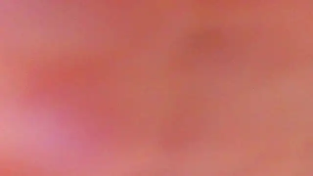 Excited-Blizzard webcam