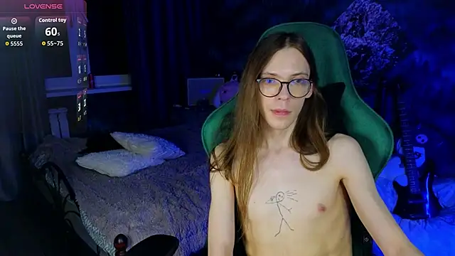 artass2 webcam