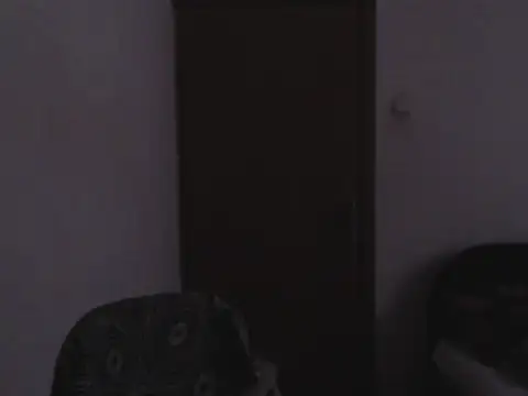 wildpussycat23 webcam