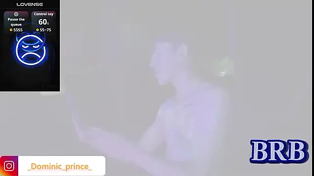 DominicPrince webcam