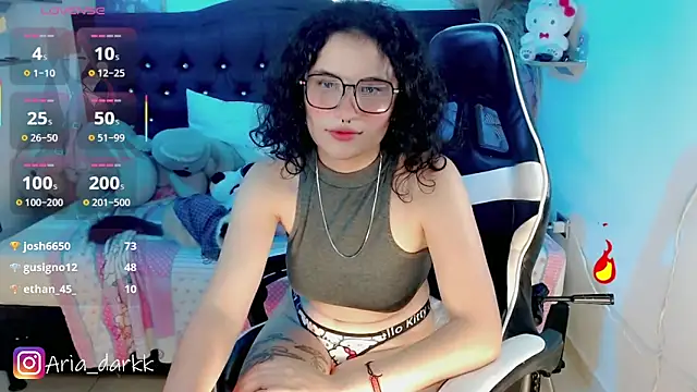 AriaDark webcam