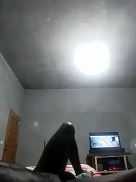 UnmeltedDryer webcam