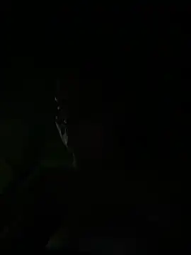 Datoka_adrenaline webcam