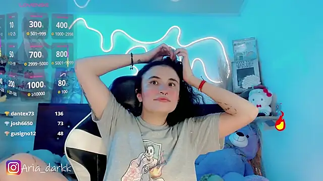 AriaDark webcam