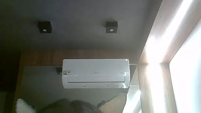 SkinnyKitten webcam