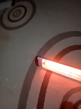 Kurtsikici@xh webcam