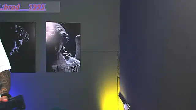 bradley_smith webcam