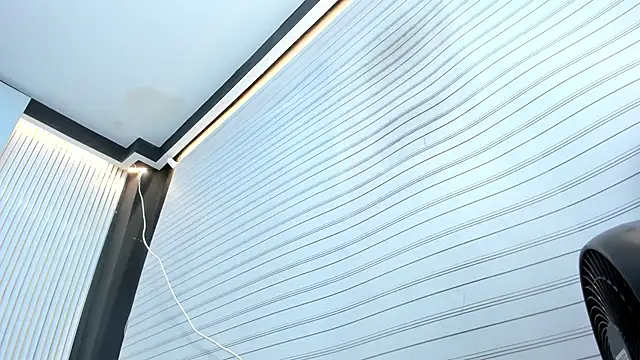 VenusColeman_ webcam