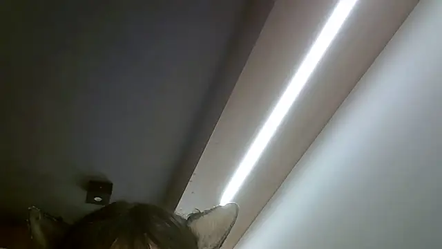 SkinnyKitten webcam