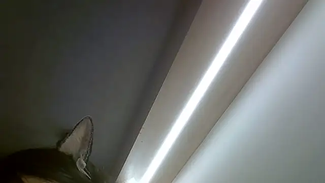 SkinnyKitten webcam