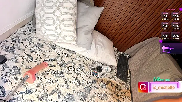 _mishelle webcam