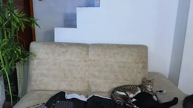 Lorenne_Miller webcam