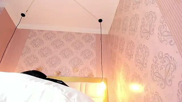 Kendall_curves webcam