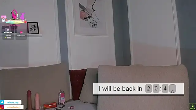 EnriqueBarberry webcam