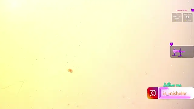 _mishelle webcam