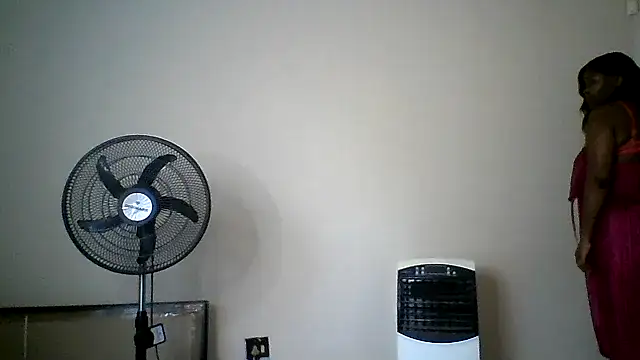 prettymonalisaRSA webcam