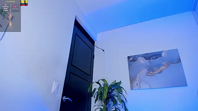 Yeiko_Romero_ webcam