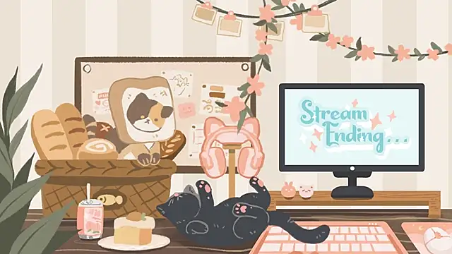 geekycastillo webcam