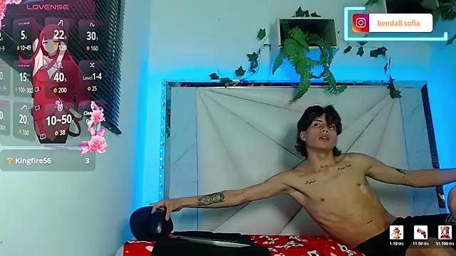 Didi_and_kendall webcam