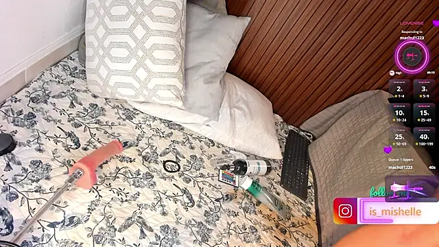_mishelle webcam