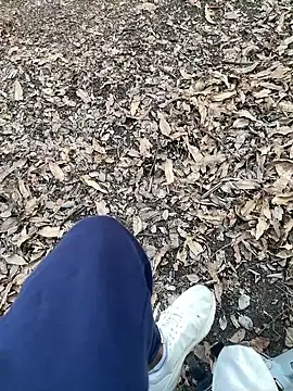 SL_NIKI_PUBLIC webcam