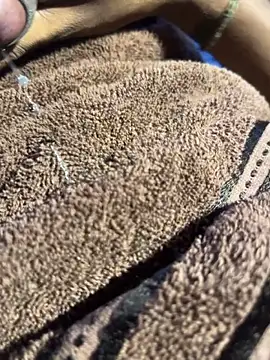 bigfatdick111 webcam