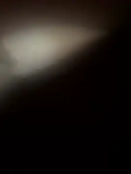 curis4270panda webcam