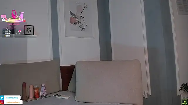 EnriqueBarberry webcam