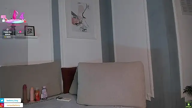 EnriqueBarberry webcam