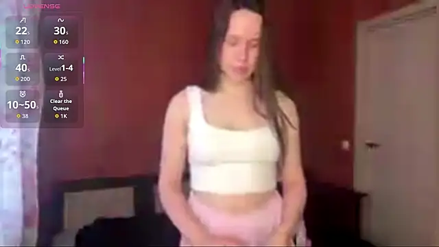 SanoraVillnave webcam