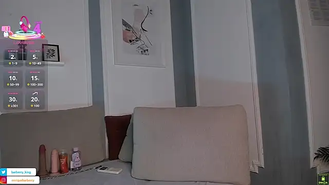 EnriqueBarberry webcam