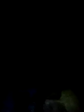 Cameron_puppy webcam