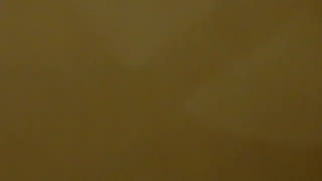 publicfun206xxx webcam