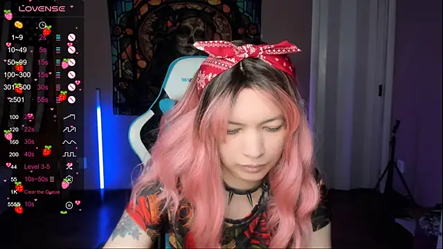 Project_hisoka webcam