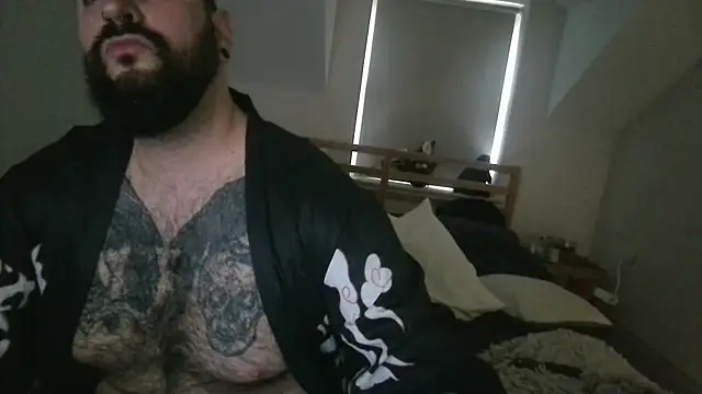 theBeardyViking