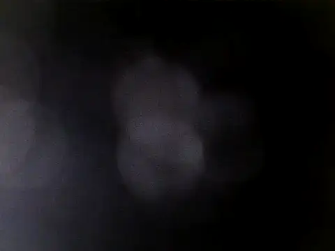 Asian_PrettyAle webcam