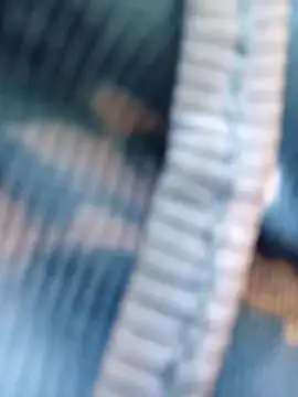 AnastiaBushlah webcam