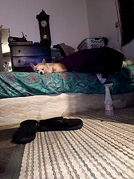 Preview of bimexpoexist